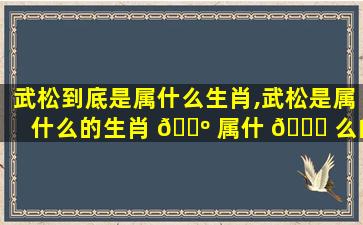 武松到底是属什么生肖,武松是属什么的生肖 🐺 属什 🐘 么的